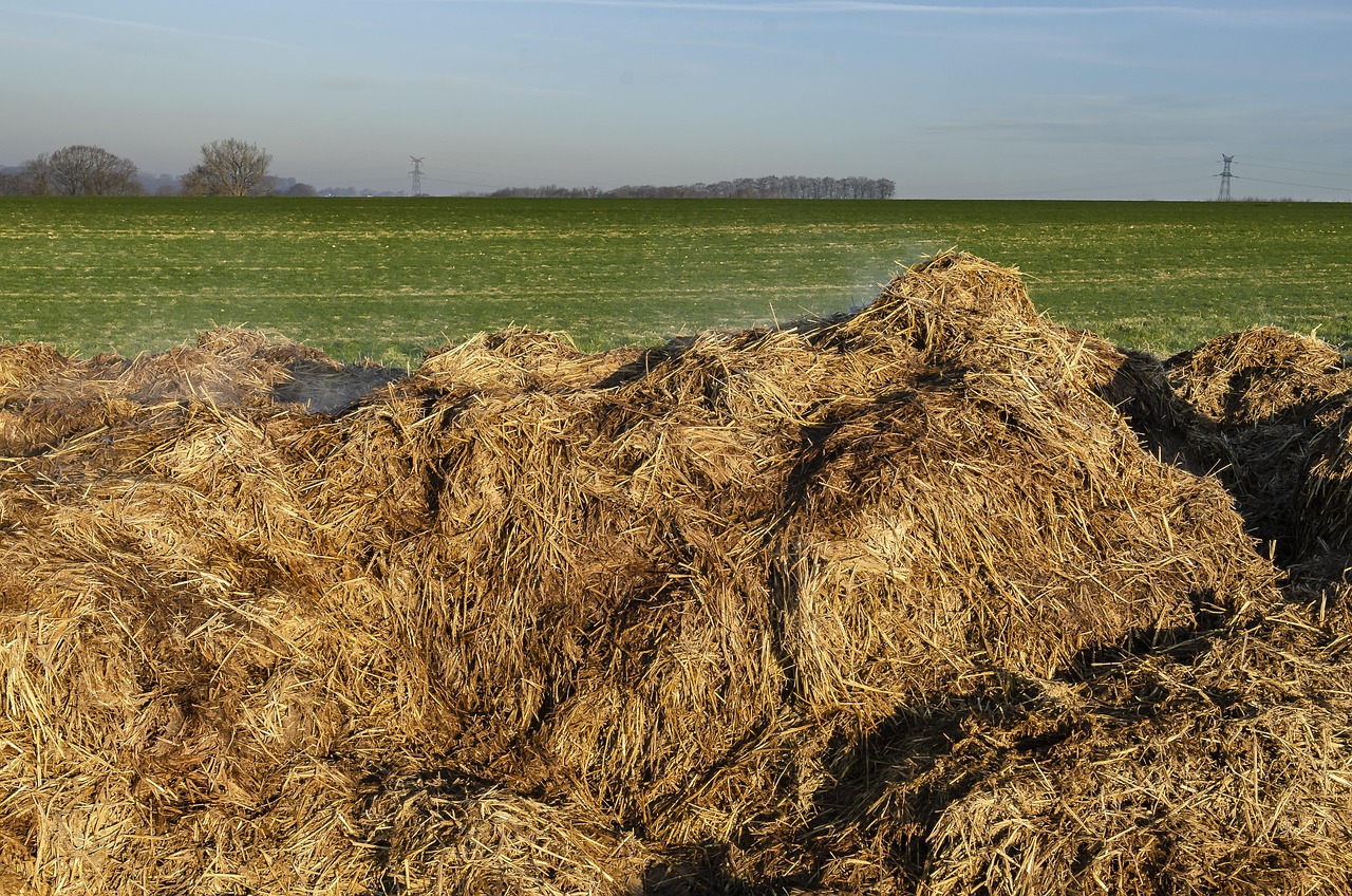 Concime naturale per piante invernali, con ingredienti ecologici e sostenibili per il giardino a gennaio.