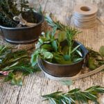 Erbe aromatiche fresche in vaso, pronte per essere coltivate in casa tutto l'anno.