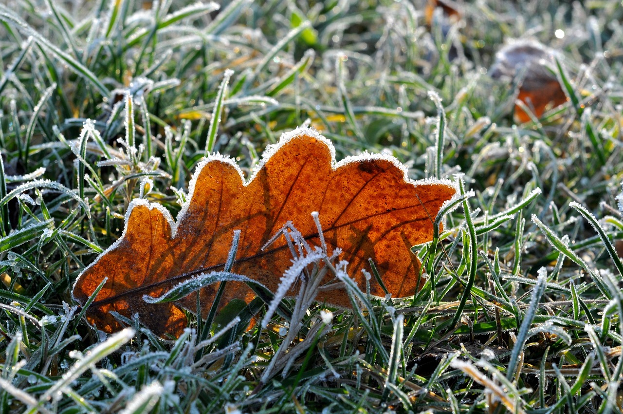 Uomo avvolto in una coperta calda, sorseggiando una bevanda calda al mattino in un ambiente freddo.