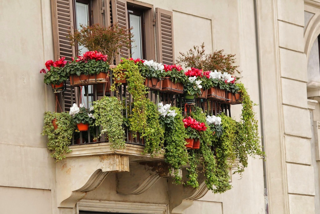 Balcone in inverno con decorazioni accoglienti e piante resistenti al freddo.