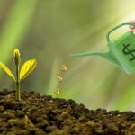 Giardino curato con piante e fiori, simbolo delle spese deducibili nel 2026.