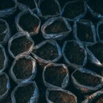 Immagine di un sacco di concime scadente con simboli di divieto, evidenziando i prodotti da evitare per l'orto.