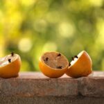 Metodo naturale per eliminare le zanzare, con ingredienti ecologici e sorprendenti.