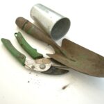 Attrezzi da giardino arrugginiti immersi in un liquido per rimuovere la ruggine, con sfondo di piante.