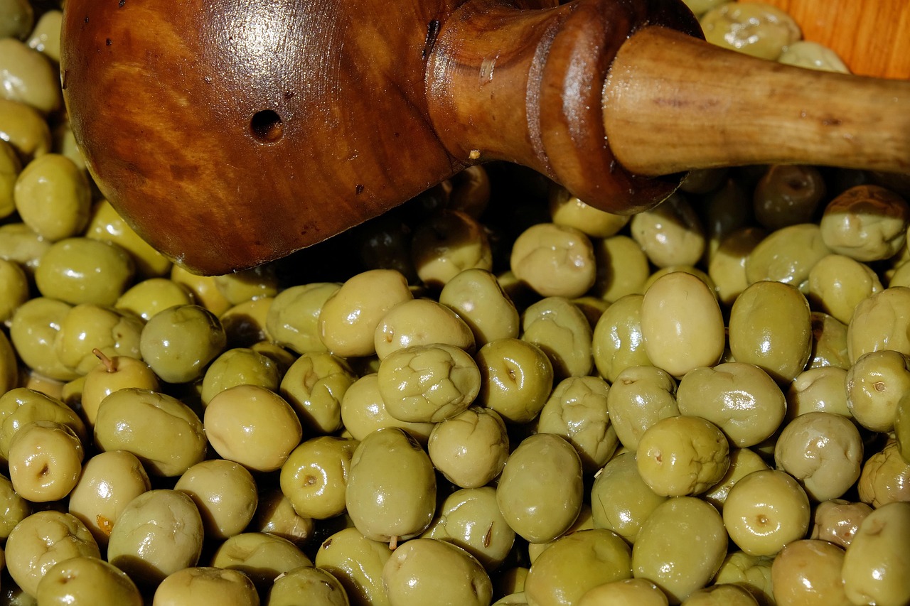 Olive grandi e succose su ramo, simbolo di una raccolta abbondante e saporita.