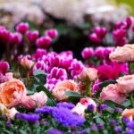 Rose colorate in un giardino fiorito, con foglie verdi e un cielo sereno in inverno.