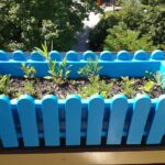 Orto sul balcone: piante da seminare a marzo per una raccolta abbondante a maggio.