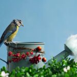 Uccellini colorati che si nutrono in un giardino pulito e fiorito.