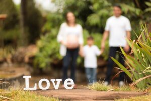 Orto familiare ideale per 4 persone, con piante ordinate e spazi ben definiti.