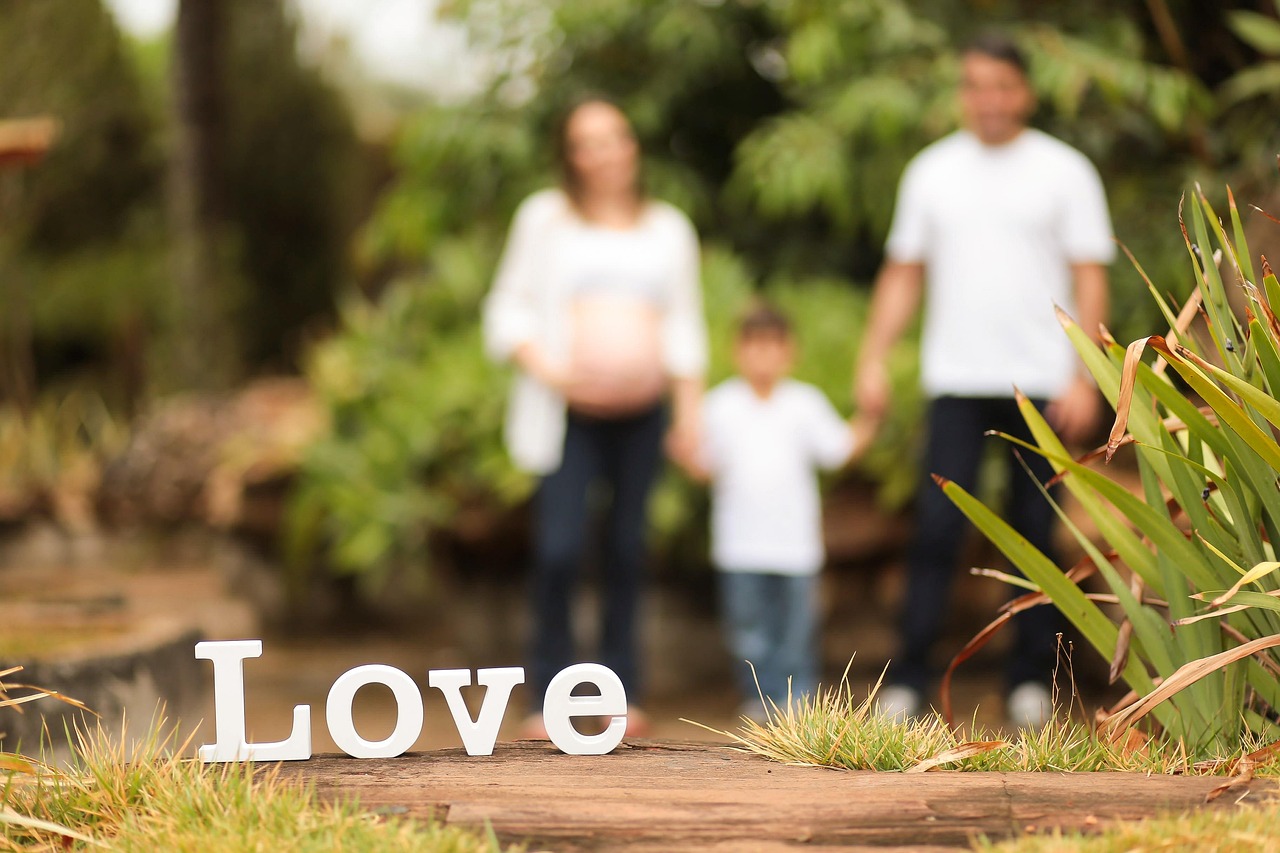 Orto familiare ideale per 4 persone, con piante ordinate e spazi ben definiti.