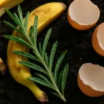 Concime per rosmarino fai da te: ricette naturali che funzionano