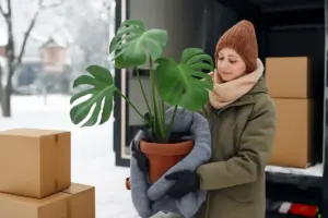 Traslocare piante in inverno: quali precauzioni adottare per ridurre lo shock termico?