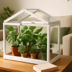 Mini serre da appartamento: i vantaggi nascosti di questa soluzione decorativa