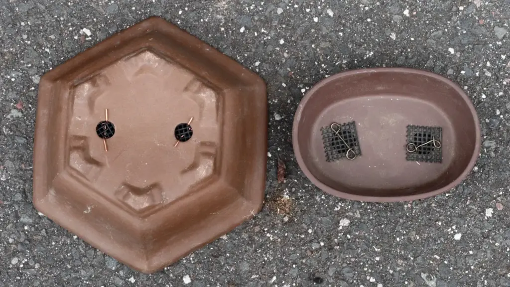 Vaso decorativo senza foro: perché il coprivaso può cambiare completamente la gestione dell’acqua