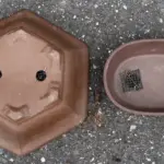 Vaso decorativo senza foro: perché il coprivaso può cambiare completamente la gestione dell’acqua