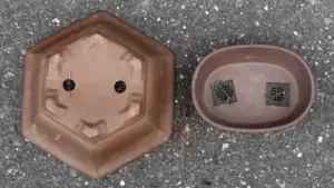 Vaso decorativo senza foro: perché il coprivaso può cambiare completamente la gestione dell’acqua