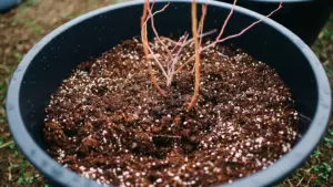 Acqua che attraversa il vaso troppo in fretta: distinguere un substrato molto asciutto da una miscela davvero drenante